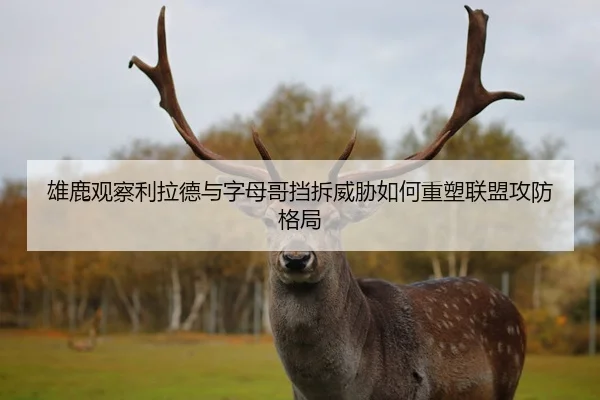 雄鹿观察利拉德与字母哥挡拆威胁如何重塑联盟攻防格局